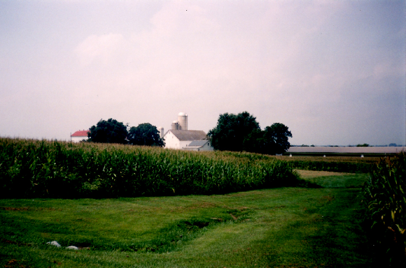 foreground: corn row; mid-ground: farm buildings including grain silos; background hidden by buildings and corn row