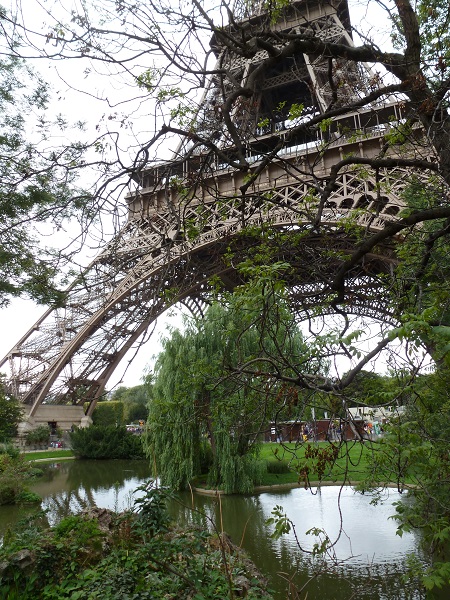 top left: leafy pale sky and branches; top right: silhouette of trunk against pale sky; bottom: pond with leafy green trees; rest: bottom of skeletal iron tower seen from below