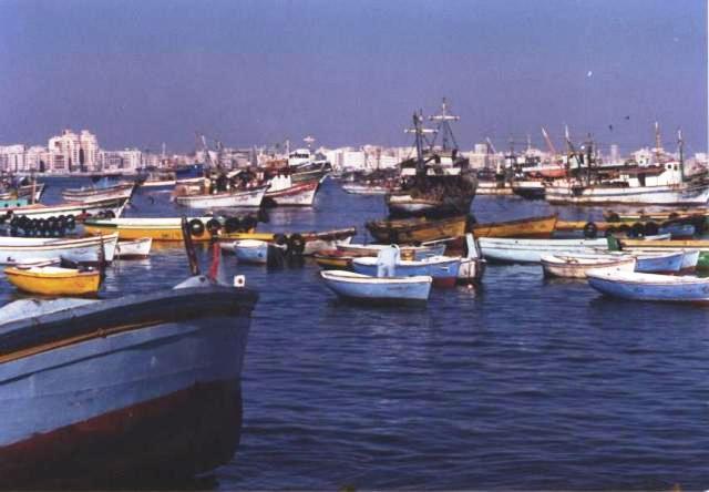 foreground: bow of a small boat; midground: many small and medium boats; background: skyline of white buildings