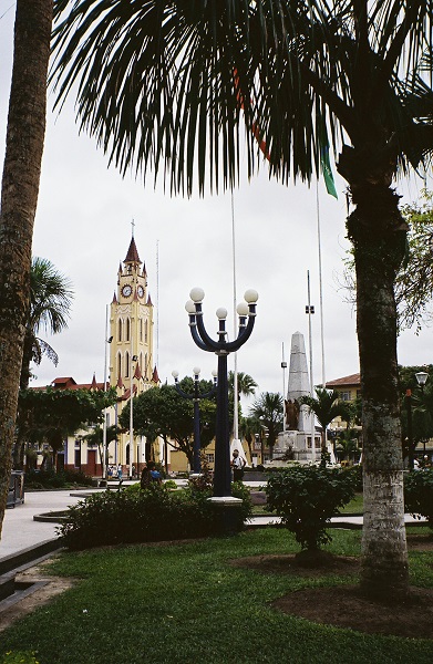 foreground: two palm trees forming a shadowy frame; midground: a city park; background: a monument and a church tower