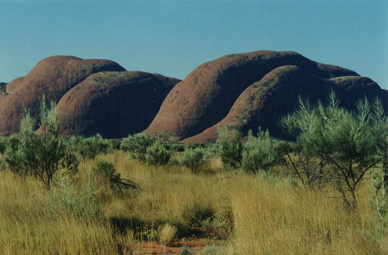 clear sky at top, four brown bare rounded hills in center, tall dry grass and small trees in the foreground